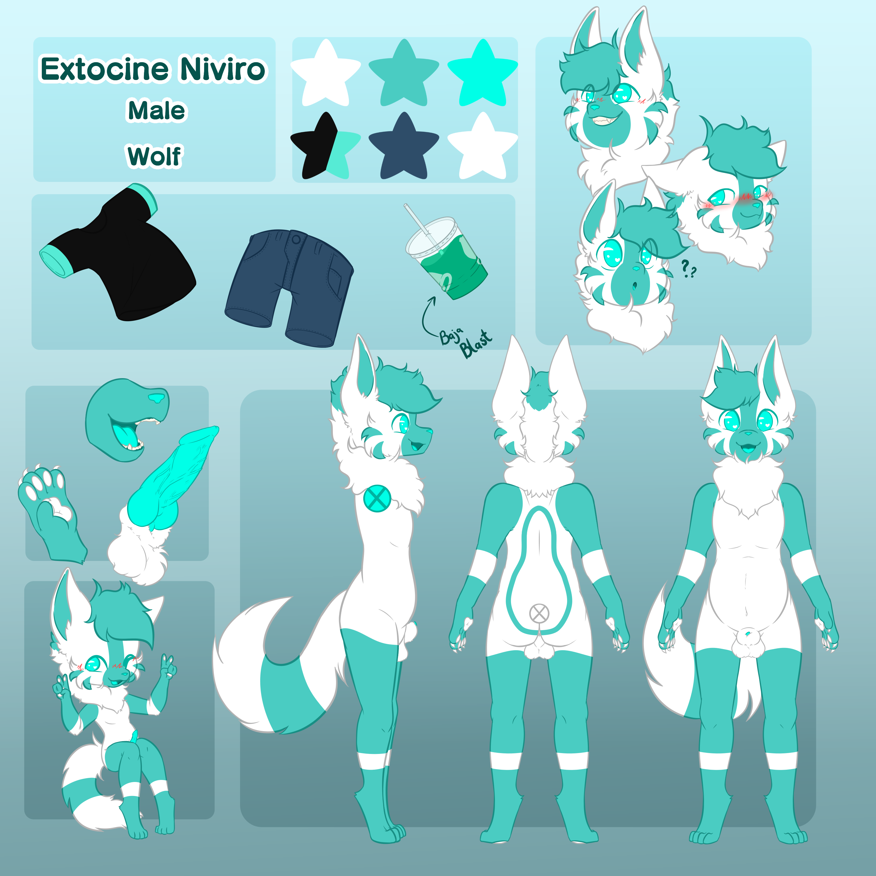 Exto Ref